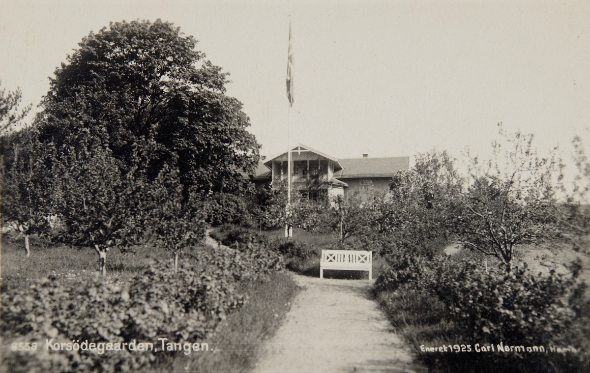 Postkort, Stange,Tangen, Korsødegården, skystasjon, landhandel, gjestgiveri, hageanlegg,