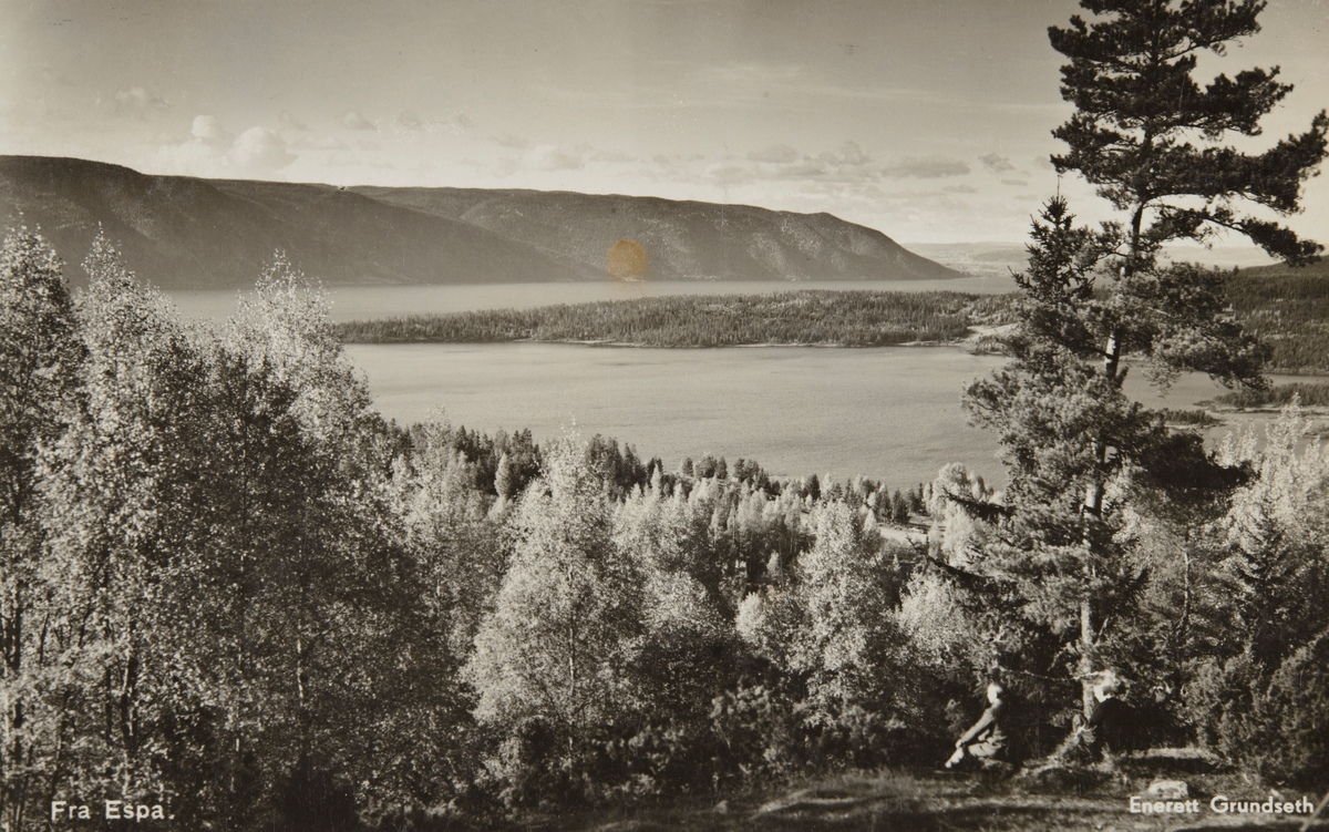 Postkort, Stange, Espa, utsikt over Tangenvika, Viksvika, Mjøsa, Hamnnesodden,