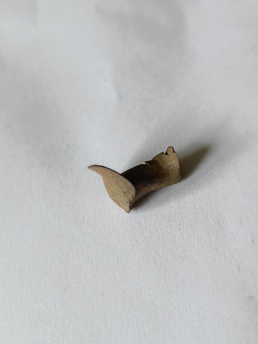 En brukt klinknagle, med hode og kropp godt bevart. Spissen på naglen er slått inn og bøyd noe, slik at vi forstår at naglen er brukt. 