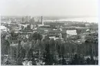 Västerås. 
Vy från gamla vattentornet på Djäkneberget, mot SO. 1980.