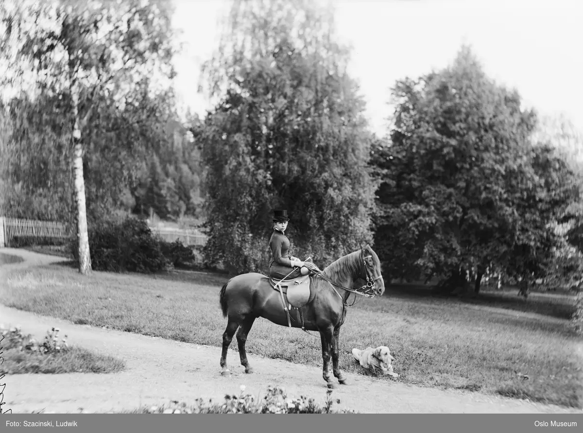 park, gangvei, hest, kvinne, rytter, damesadel, hund