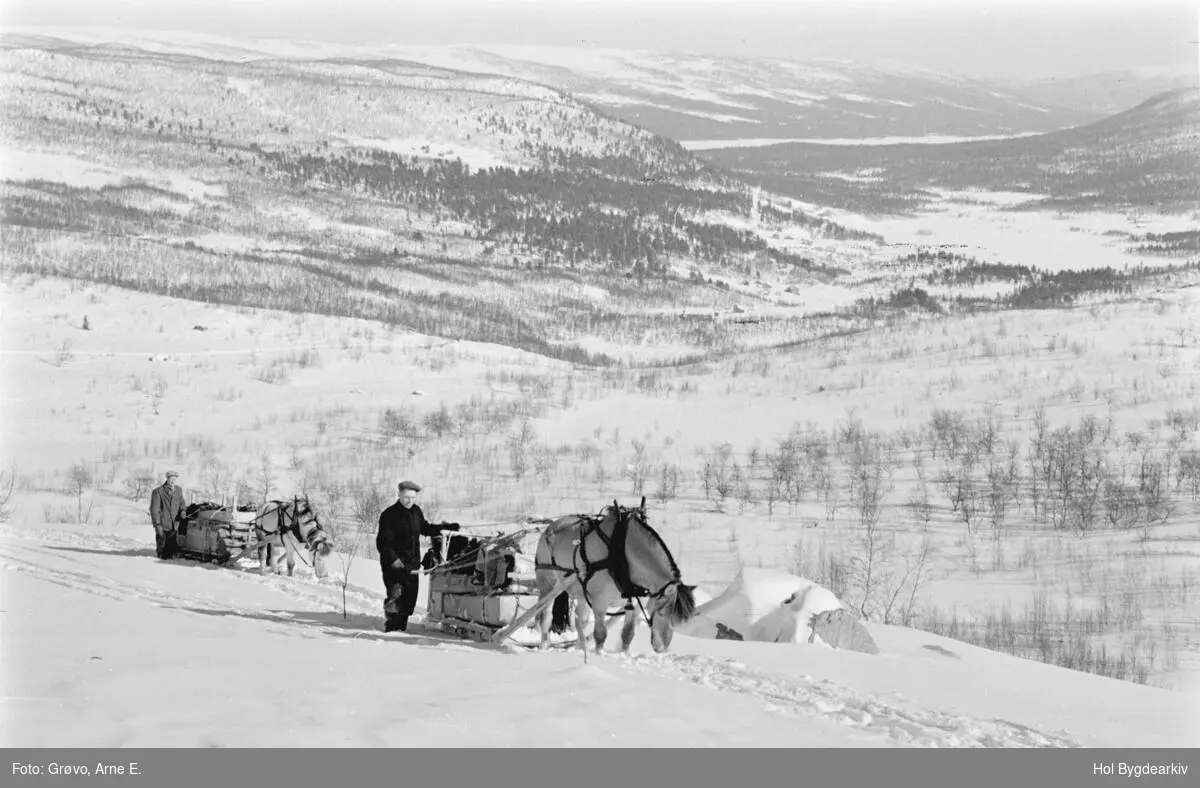 Hestetransport, vinter, menn, Støl, slede, hestelass, Skurdalen
