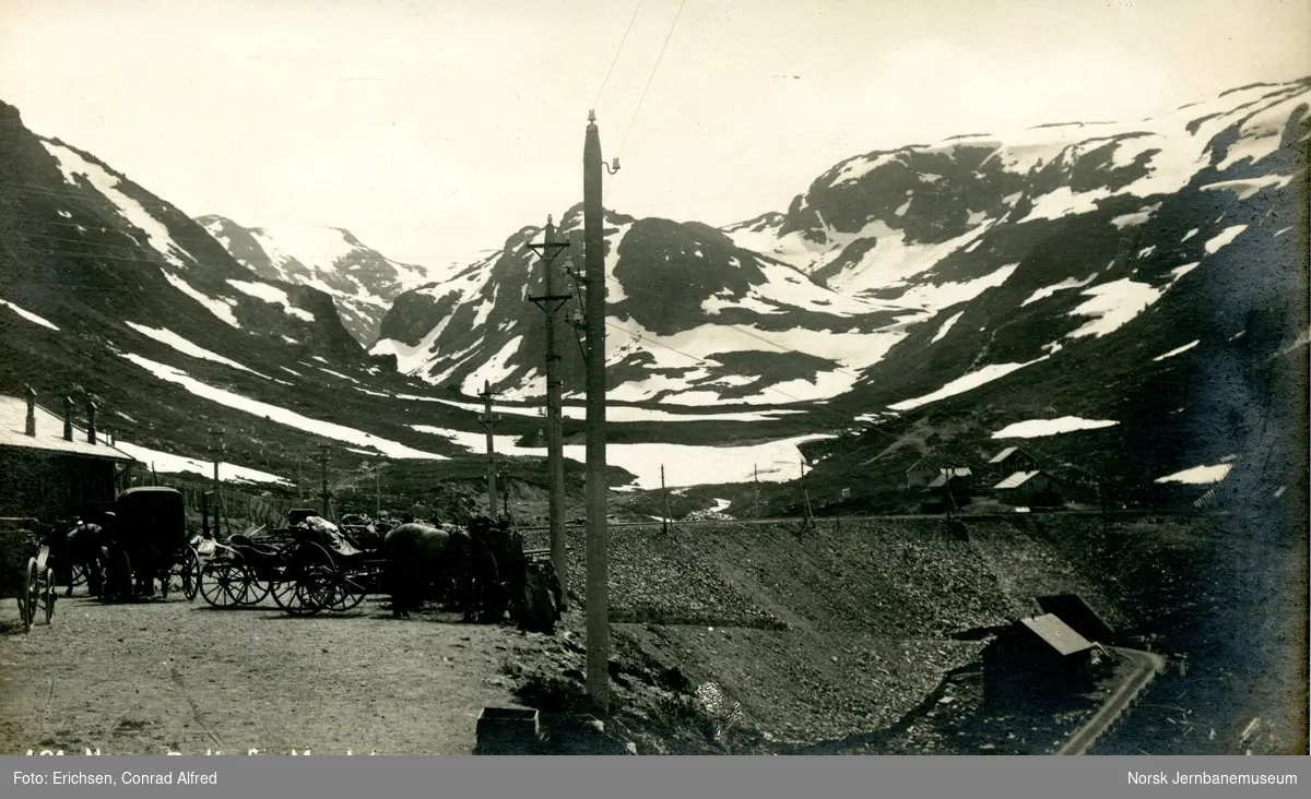 Hestedrosjer på Myrdal stasjon