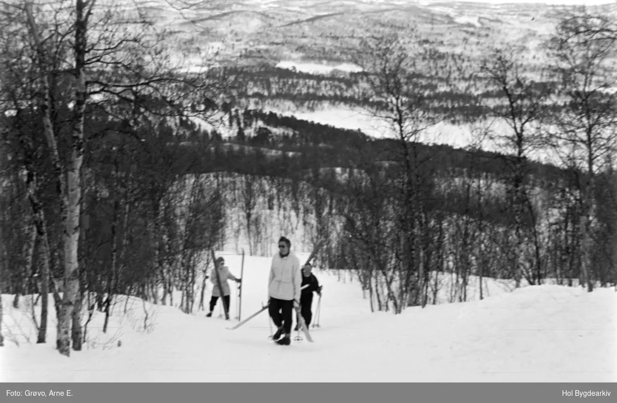 Skiløype, Vestlia, skiløypar, skiturist, pariserløypa, 