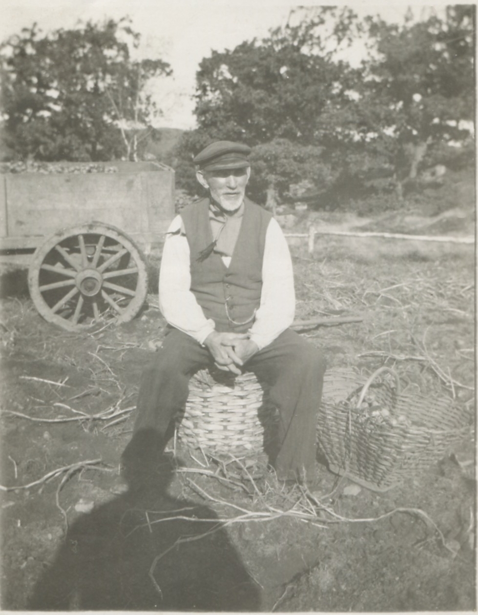 Erik Gustavsson (1857 - 1935), "Birgers" (nedre gården) Backen eller Högen, sitter på en korg vid Lyckekullen, okänt årtal. I bakgrunden ses en kärra.