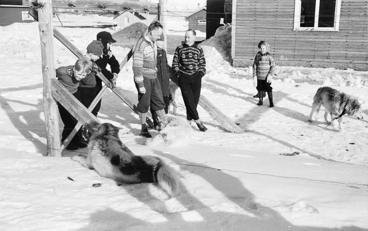 Folk og hunder i Ny-Ålesund