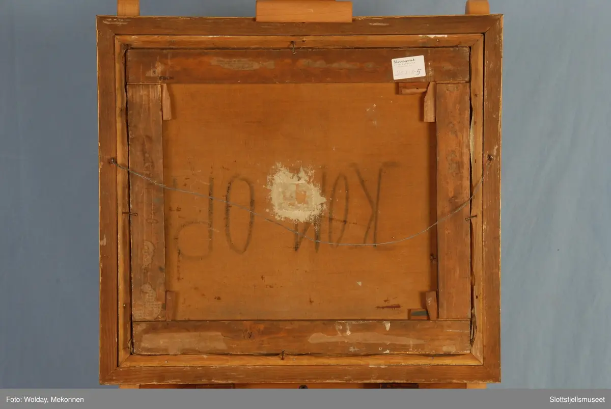 Utsikt fra Haugar mot Slottsfjellet