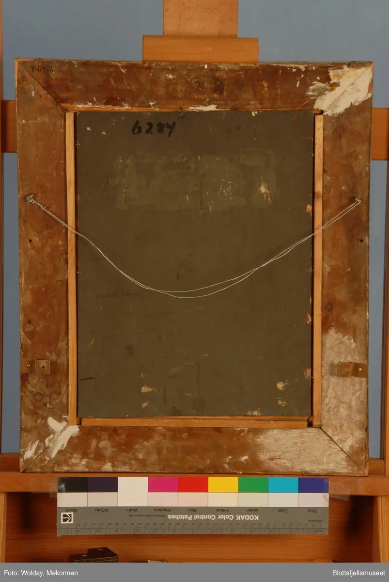 Portrett av ukjent kvinne