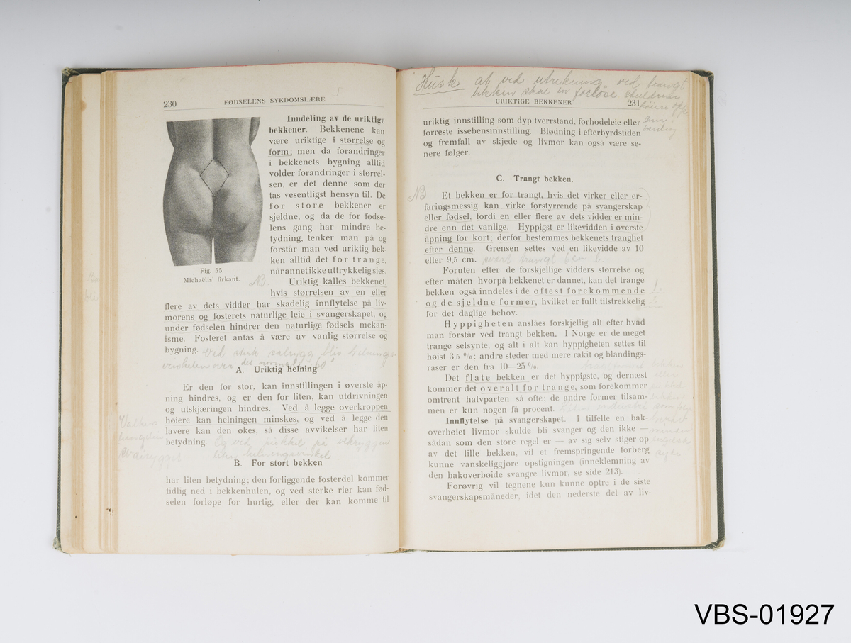 Bok med 423 sider, med trykt papiromslag, svart-hvitt tekst og illustrasjoner.
Tredje utgave, Bergen 1928