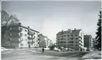 Västerås.
Vy över Bondebacken och Oxbacken, 1950-tal.