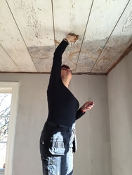 Takmålning utförd av Olof Dahlström på gården Där Väst i Bob