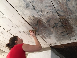 Takmålning utförd av Olof Dahlström på gården Där Väst i Bob