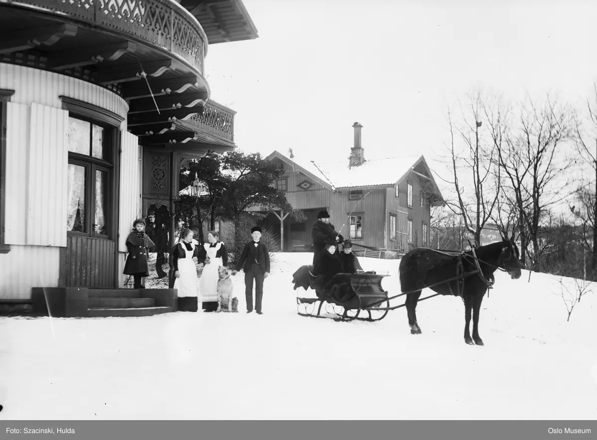 villaer, mennesker, hest, slede, snø