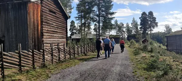 Bilde av en gruppe som får omvisning i museumsparken på Glomdalsmuseet