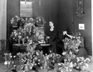 Stående kvinna vid blomsterbord.
Fotografens ant: Fröken Svea Andersson. 1936.