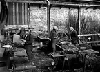 Fyra män i arbete med plantor.
Fotografens ant:Stenborgs Trädskola.
Firman grundades i Västerås 1890 av Frans Johansson. År 1918 inköptes ett större jordområde i närheten av Karlstad dit rörelsen så småningom överflyttades.  Försäljningen bestod av alla slags vinterhärdiga växter och speciellt sådana som var anpassade för Norrland och Mellansverige.
Källa: Redaktör B. Wendel, Beskrivning äver Karlstad med omnejd, 1939.