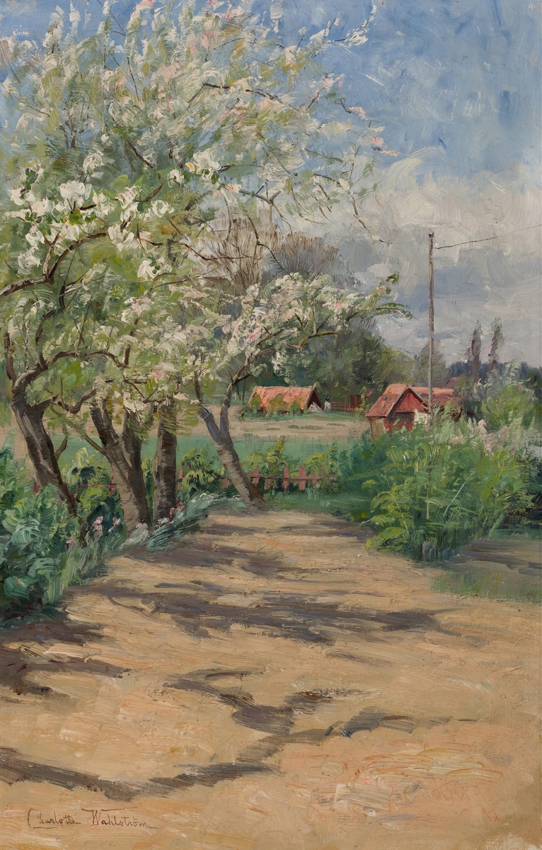 I förgrunden till vänster vid en gång en rad blommande fruktträd; i mellangrunden några rödmålade byggnader; i bakgrunden skymtar skog