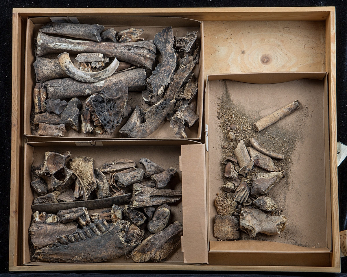 Materialet omfattar 1138 fyndnummer, däribland ca 25 mynt vilka har översänts till SHM / KMK. Dessutom finns onumrerade, 85 liter djurben.

Keramik, järn och cu-leg,  mm är alla av ett varierat slag, och är sådant som kan förväntas ifrån hög- och senmedeltida stadslager.

Fyndlista finns, men ingen rapport är tillgänglig i Varberg.

Materialet omfattar 42 backar: varav keramik och tegel mm 10 backar, metallfynd 14 backa , prover 1 back, djurben 17 backar. Allt är i god ordning. Endast enstaka järnföremål är konserverade.

Mynten saknas, eventuellt kvarligger de på KMK.