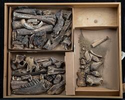 Arkeologisk undersökning