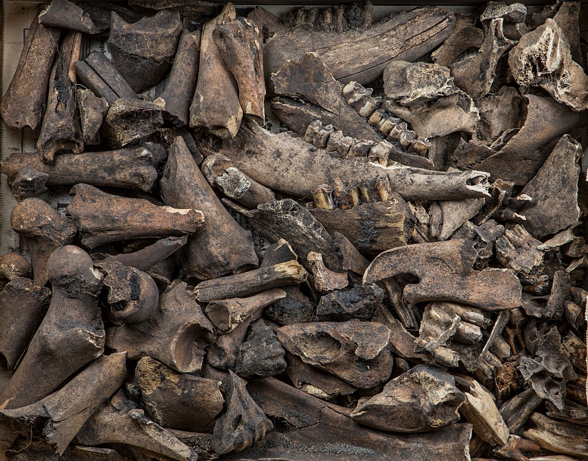 Materialet omfattar 1138 fyndnummer, däribland ca 25 mynt vilka har översänts till SHM / KMK. Dessutom finns onumrerade, 85 liter djurben.

Keramik, järn och cu-leg,  mm är alla av ett varierat slag, och är sådant som kan förväntas ifrån hög- och senmedeltida stadslager.

Fyndlista finns, men ingen rapport är tillgänglig i Varberg.

Materialet omfattar 42 backar: varav keramik och tegel mm 10 backar, metallfynd 14 backa , prover 1 back, djurben 17 backar. Allt är i god ordning. Endast enstaka järnföremål är konserverade.

Mynten saknas, eventuellt kvarligger de på KMK.