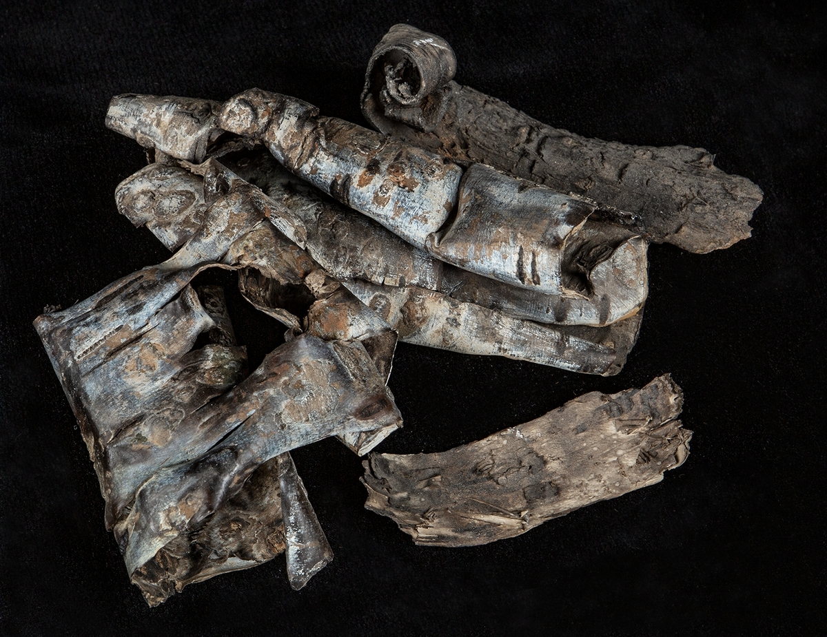 Det mycket omfattande fyndmaterialet domineras av keramik, främst yngre rödgods: grytor, karotter och fat. En del av detta är säkert producerat i Ny Varberg. En del yngre svartgods förekommer också, liksom kakel.

Importvaror från kontinenten är delar av rödgodset liksom vitgods, en hel del stengods och något fajans.

Vidare förekommer glas, både fönsterglas och dryckesglas, järnföremål av olika slag, förutom spik finns t ex lås, vidare mindre mängder brons, mässing och bly, varav några blyplomber.

Fynden har sorterats efter fyndomständighet och typ i följd VMF 50 000 - VMF 86 941, VMF 87 000 - VMF 87 032.

Därtill kommer diverse fyndnummer sten och ben som inte har VMF-nummer. Förmodligen är detta det samlade fyndmaterialets.

Merparten har lagts in i en databas av okänd typ, utskrifter från denna har kompletterats med en del uppgifter påskrivet för hand, liksom VMF-nummer, och finns i blankettform.

Sammanlagt omkring 3500 fyndposter finns att finna i  Primus av de drygt 37 000 posterna. Resten finns alltså endast dokumenterat på blanketter.

Själva sorteringen som helhet är av allt att döma bra gjord, det är bara det att arbetet tyvärr aldrig kunde fullföljas.

Oavsett infallsvinkel och frågeställngar så har fyndmaterialet tillsammans med dokumentationen god potential för vidare bearbetning och forskning.

Keramikfynd i Primus är VMF 50 000 - 52 296, enstaka poster > VMF 56 347, omkring 100 poster runt VMF 59 000, samt VMF 76 778 - 77 036.

Glas, läder, trä och metaller finns på VMF 86 000 - 86 941. Tegel har VMF  87 000 -  87 032.

Antalet fyndbackar är 443 st, varav keramik 362, glas 10, läder mm 6, trä 23, metall 15, tegel 13 samt sten 9 och ben 5 backar med olika fyndnummer men inte VMF-nummer. En del större träföremål som plank finns på pall.