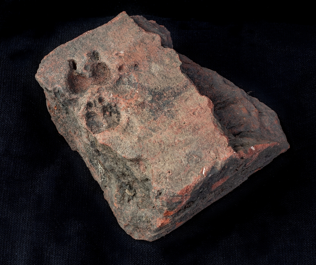 Materialet omfattar 1138 fyndnummer, däribland ca 25 mynt vilka har översänts till SHM / KMK. Dessutom finns onumrerade, 85 liter djurben.

Keramik, järn och cu-leg,  mm är alla av ett varierat slag, och är sådant som kan förväntas ifrån hög- och senmedeltida stadslager.

Fyndlista finns, men ingen rapport är tillgänglig i Varberg.

Materialet omfattar 42 backar: varav keramik och tegel mm 10 backar, metallfynd 14 backa , prover 1 back, djurben 17 backar. Allt är i god ordning. Endast enstaka järnföremål är konserverade.

Mynten saknas, eventuellt kvarligger de på KMK.