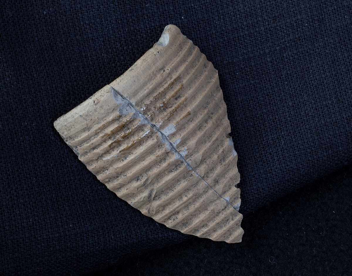 Materialet omfattar 1138 fyndnummer, däribland ca 25 mynt vilka har översänts till SHM / KMK. Dessutom finns onumrerade, 85 liter djurben.

Keramik, järn och cu-leg,  mm är alla av ett varierat slag, och är sådant som kan förväntas ifrån hög- och senmedeltida stadslager.

Fyndlista finns, men ingen rapport är tillgänglig i Varberg.

Materialet omfattar 42 backar: varav keramik och tegel mm 10 backar, metallfynd 14 backa , prover 1 back, djurben 17 backar. Allt är i god ordning. Endast enstaka järnföremål är konserverade.

Mynten saknas, eventuellt kvarligger de på KMK.