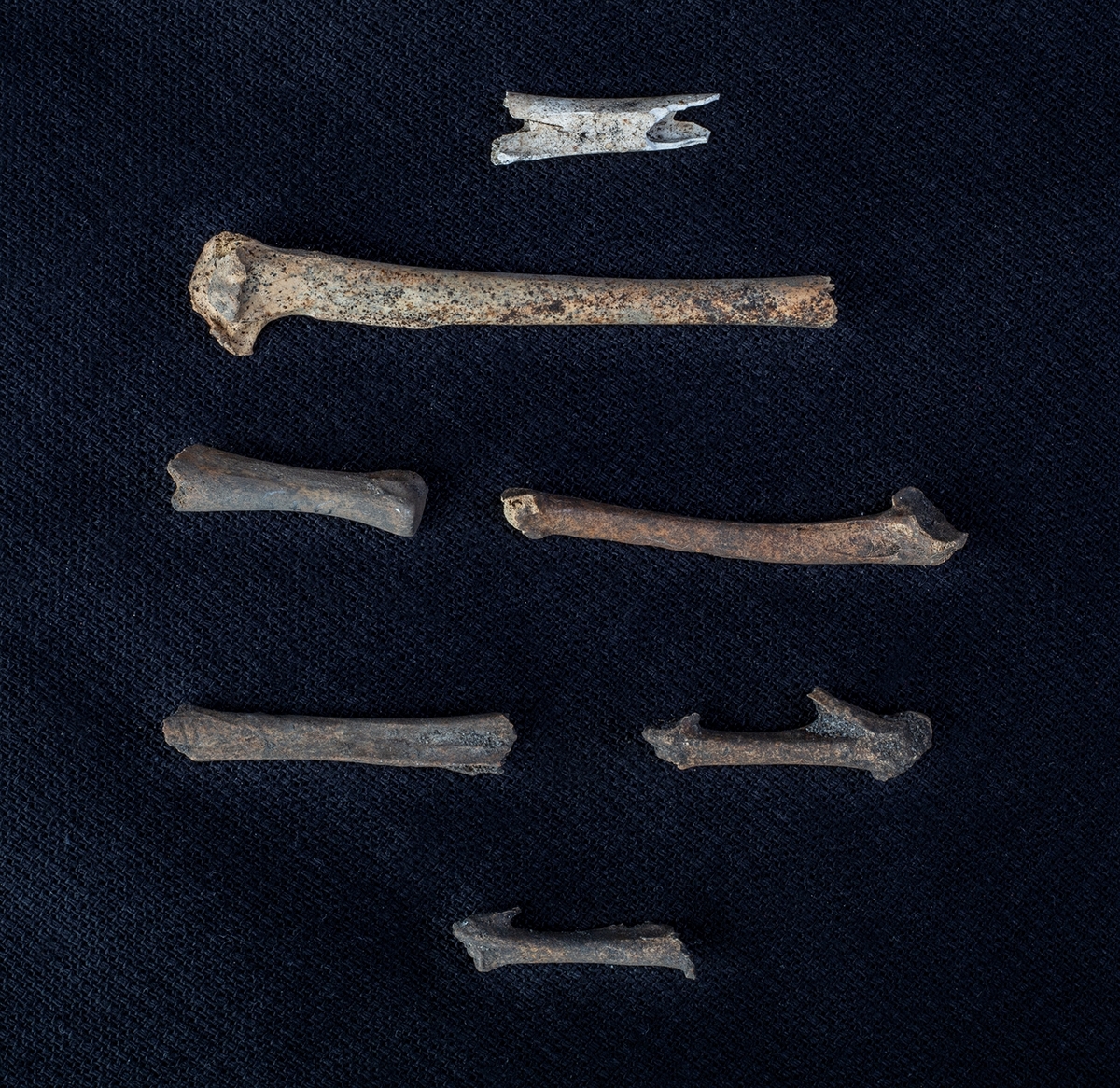 Materialet omfattar 1138 fyndnummer, däribland ca 25 mynt vilka har översänts till SHM / KMK. Dessutom finns onumrerade, 85 liter djurben.

Keramik, järn och cu-leg,  mm är alla av ett varierat slag, och är sådant som kan förväntas ifrån hög- och senmedeltida stadslager.

Fyndlista finns, men ingen rapport är tillgänglig i Varberg.

Materialet omfattar 42 backar: varav keramik och tegel mm 10 backar, metallfynd 14 backa , prover 1 back, djurben 17 backar. Allt är i god ordning. Endast enstaka järnföremål är konserverade.

Mynten saknas, eventuellt kvarligger de på KMK.