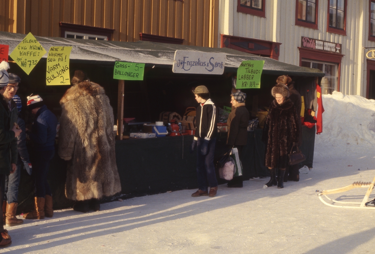 Røros-martn 1981