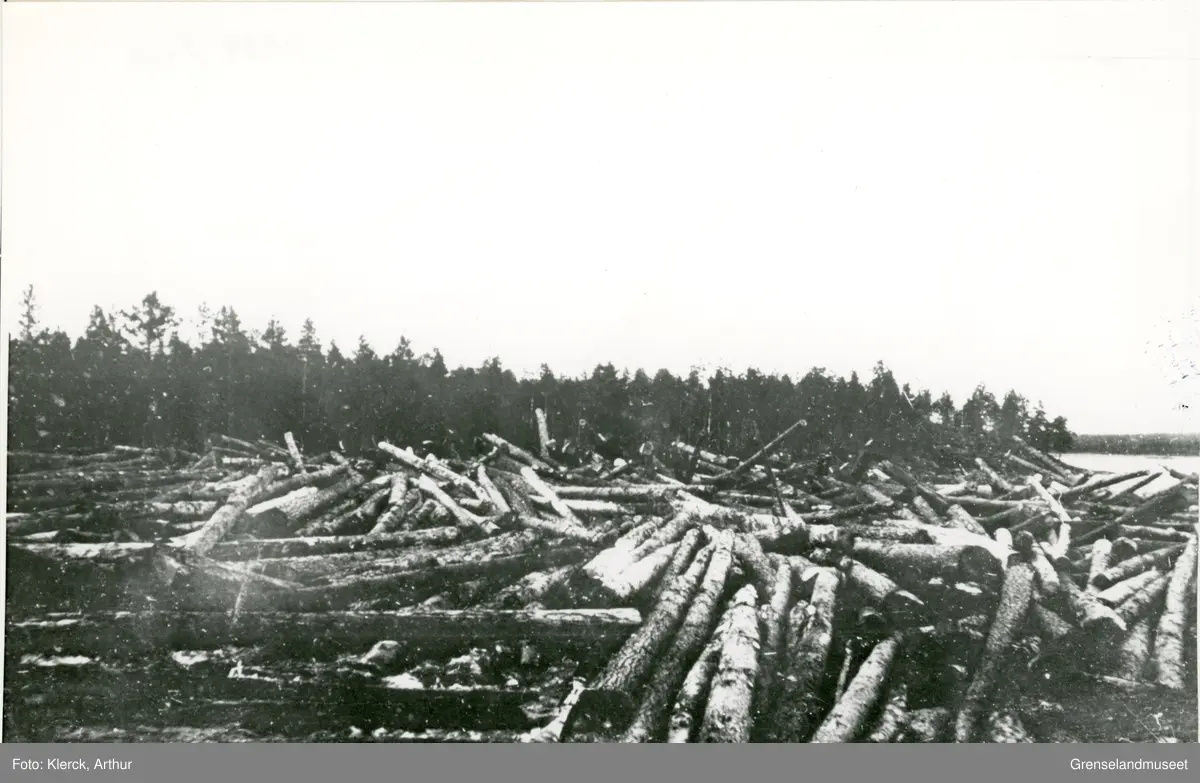 Fra Pasvikfløtingen i 1921. Binding på omtrent 30'000 tømmerstokker i Tangenfoss etter at mottakingsbommen ved Grensefoss var sprunget. Tømmeret tilhører Pasvik Timber. 