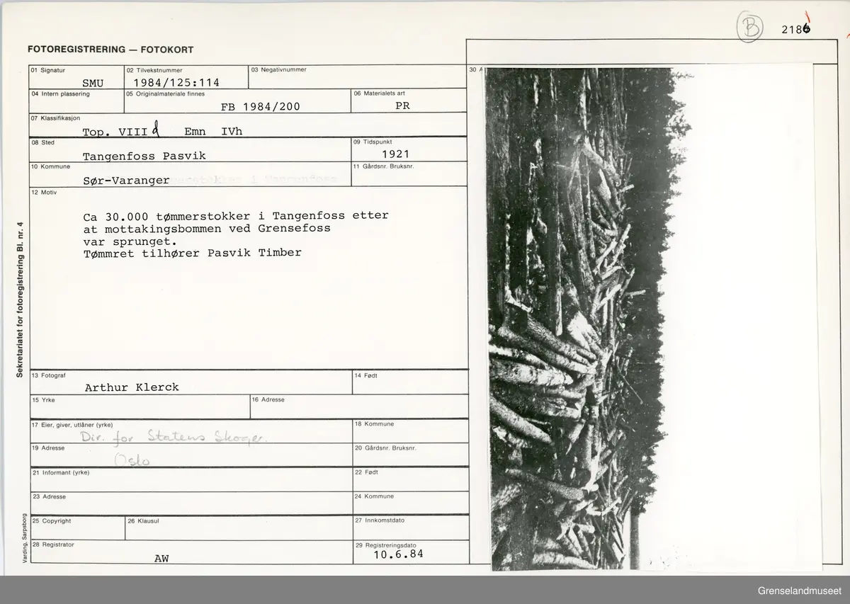 Fra Pasvikfløtingen i 1921. Binding på omtrent 30'000 tømmerstokker i Tangenfoss etter at mottakingsbommen ved Grensefoss var sprunget. Tømmeret tilhører Pasvik Timber. 