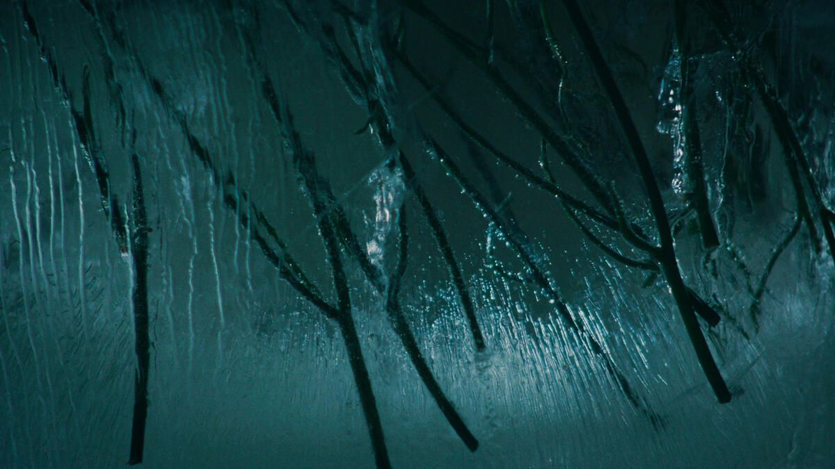 Kvister i isformasjon