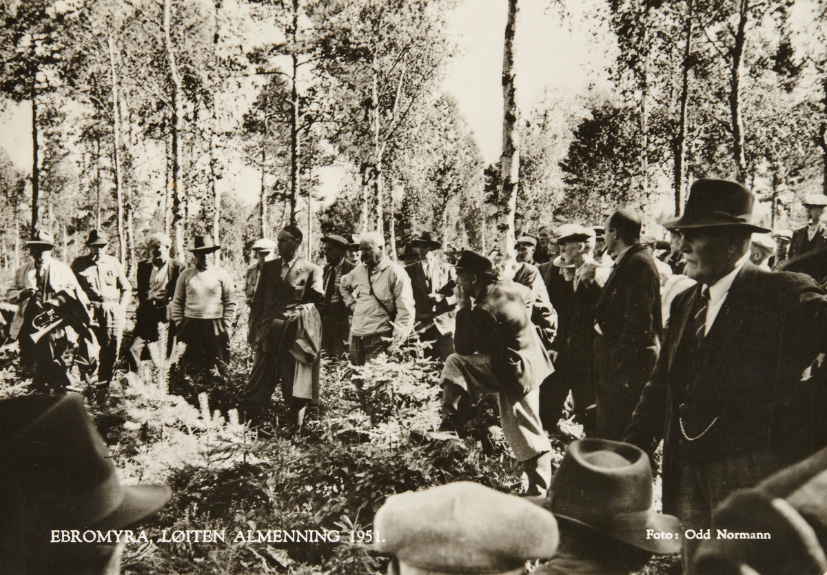 Postkort, Løten Almenning, befaring i skogen ved Ebromyra,