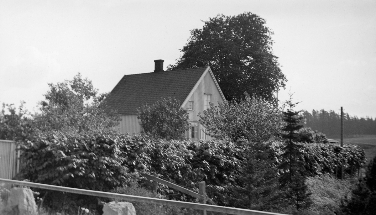 Fredrikstad Tømmerdirektions (Nedre Glommens fællesfløtningsforenings) damvokterbolig ved Sarpsborg i Østfold. Fotografiet later til å være tatt fra en veg med stabbesteiner som er forbundet ved hjelp av ei jernstang som hadde rekkverkfunksjon. Bak en frodog lauvhekk i forgrunnen ser vi et bordkledd halvannenetasjes våningshus med saltak og med dør på gavlveggen. Bakenfor skimter vi et flott tuntre.