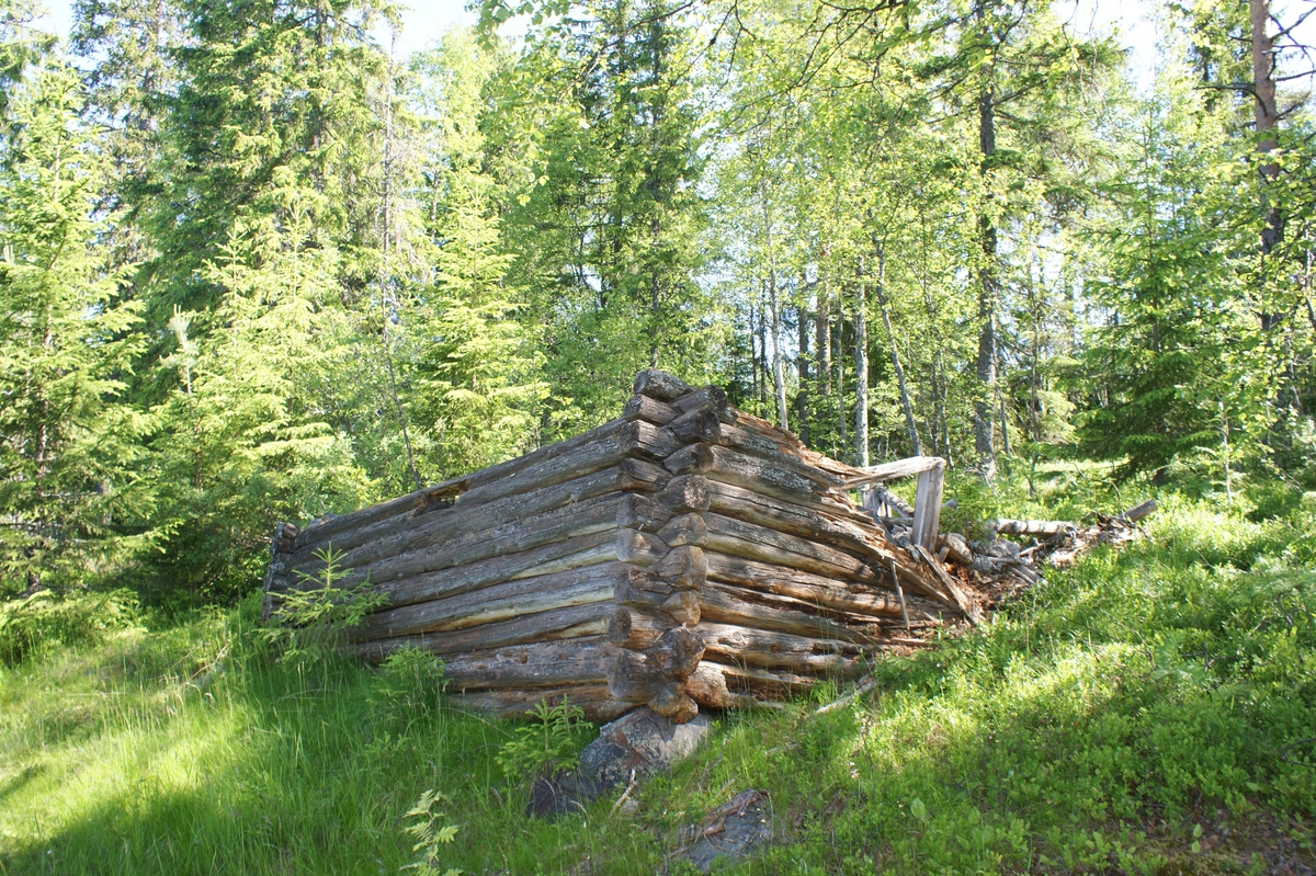 Fastighet