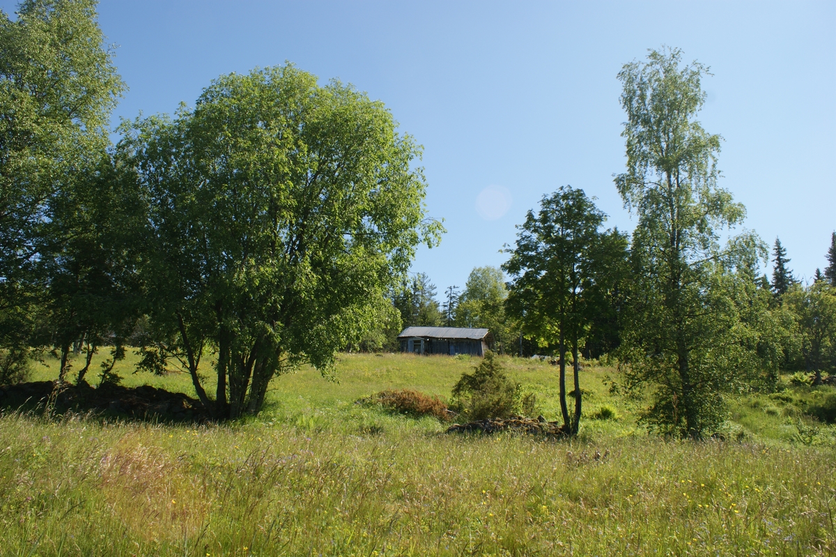 Fastighet
