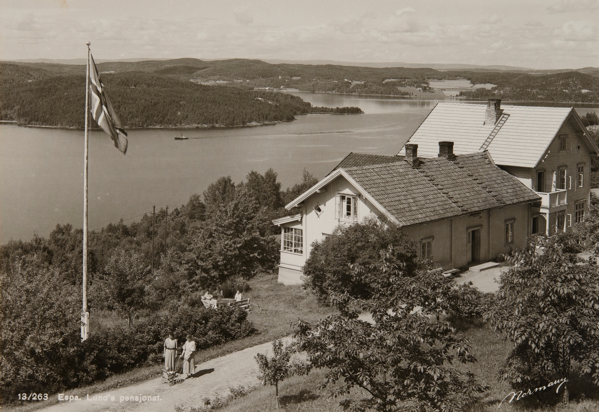 Postkort, Stange, Espa, Lunds Pensjonat, Skrepperud gård, driftet av Botolf Lund fra ca 1917 og fram til 1954, sommergjester, Tangenvika,