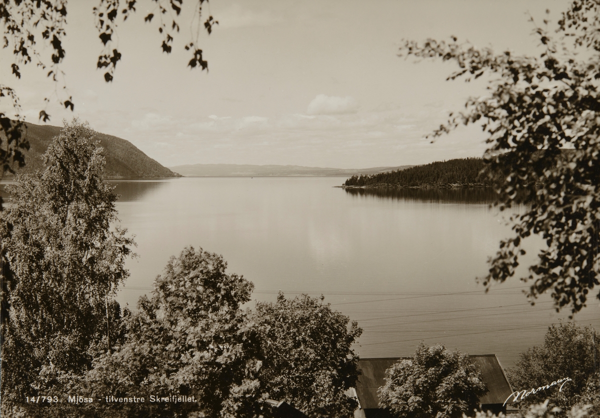 Postkort, Stange, Espa, utsikt mot Mjøsa, Hamnnesodden,