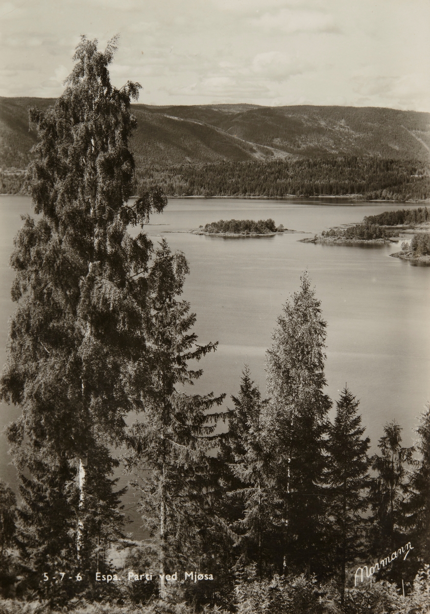 Postkort, Stange, Espa, utsikt mot Mjøsa,