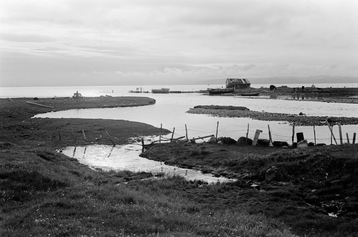 Deltaaktig kystlandskap med bygninger og gjerder.