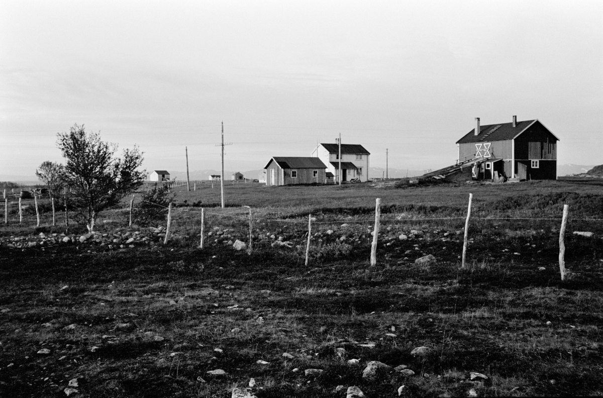 Liten gård i kystlandskap.