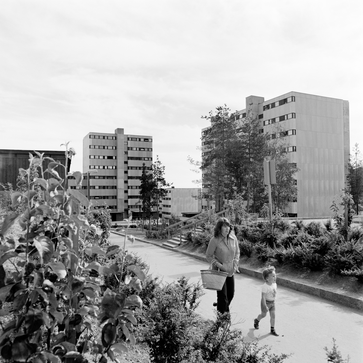 Boligfelt på Østerås.