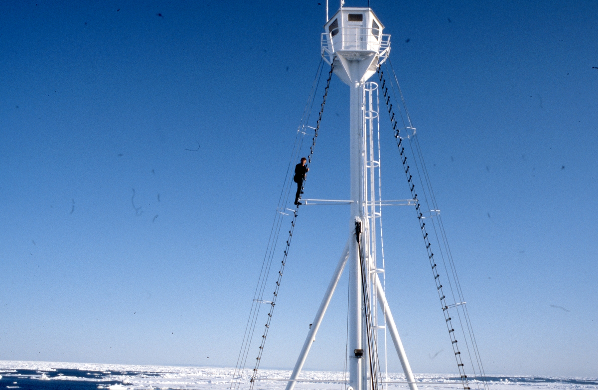 Forskningsskipet Lance tokt Svalbard. Biolog Ian Gjertz  på vei opp i tønna. 

