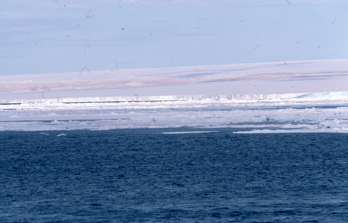 Forskningsskipet Lance tokt Svalbard, Bråsvellbreen på Nordaustlandet
