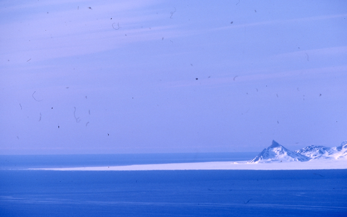 Kapp Mitra, Kongsfjorden
