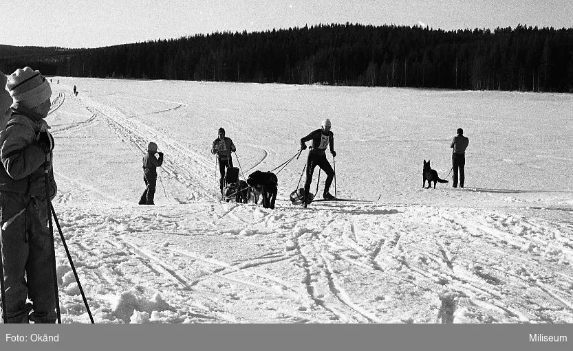 Tävlande ekipage på väg mot mål.