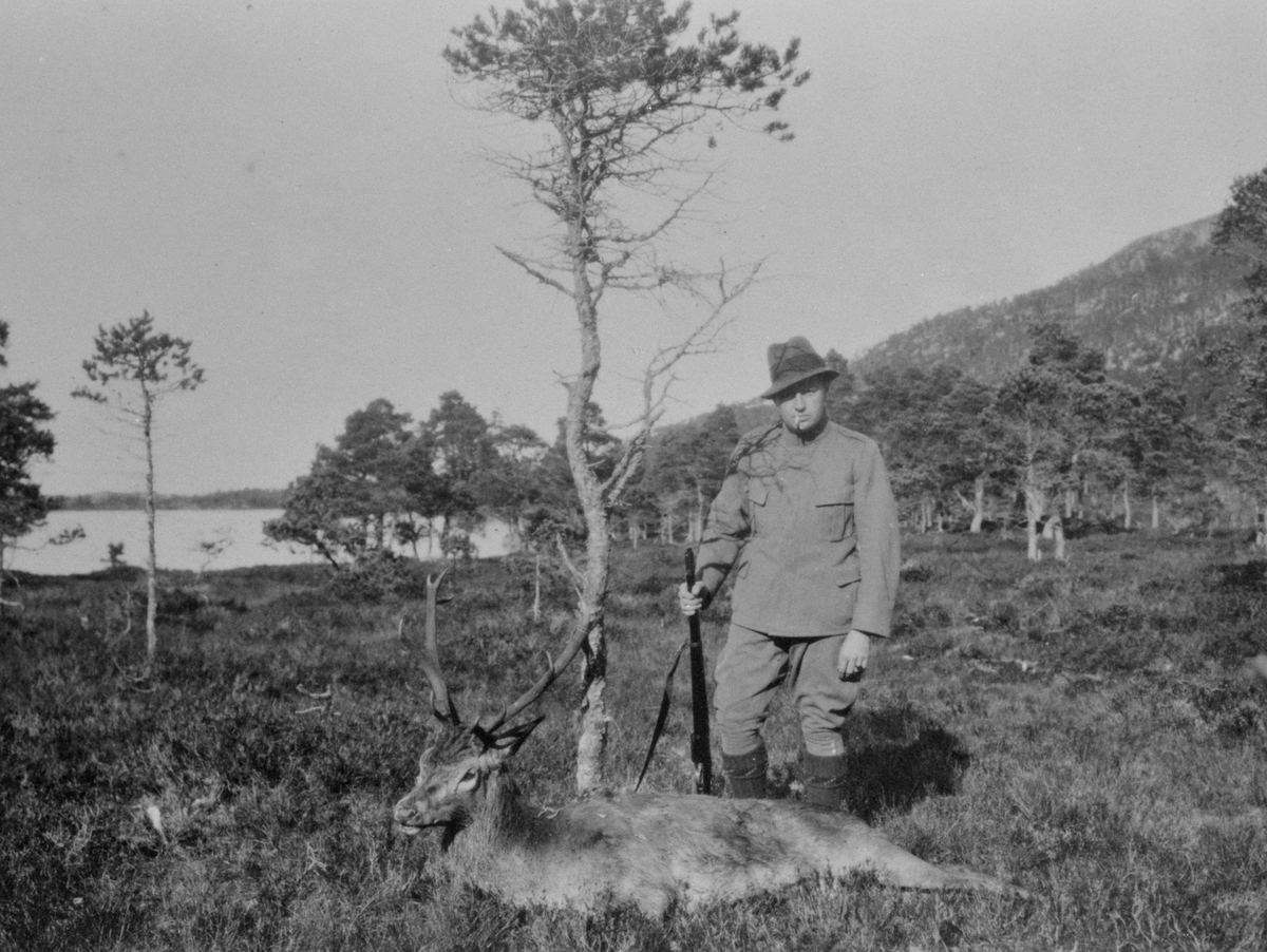 Fremvisning av hjort med Ove Egeberg Gude.