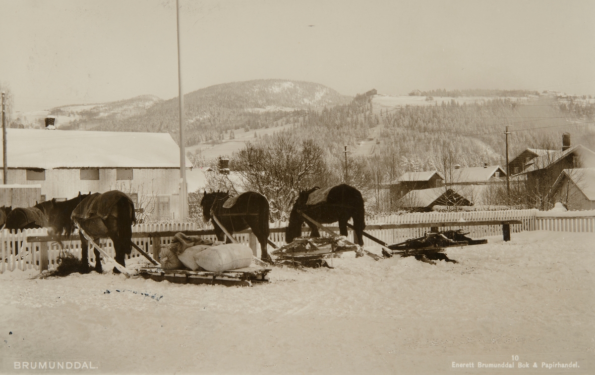 Postkort, Ringsaker, Brumunddal, Hestebinding mellom Helgeby og Stampen. Hest og slede, bukk og geit. Hestekjøretøy. vinter,