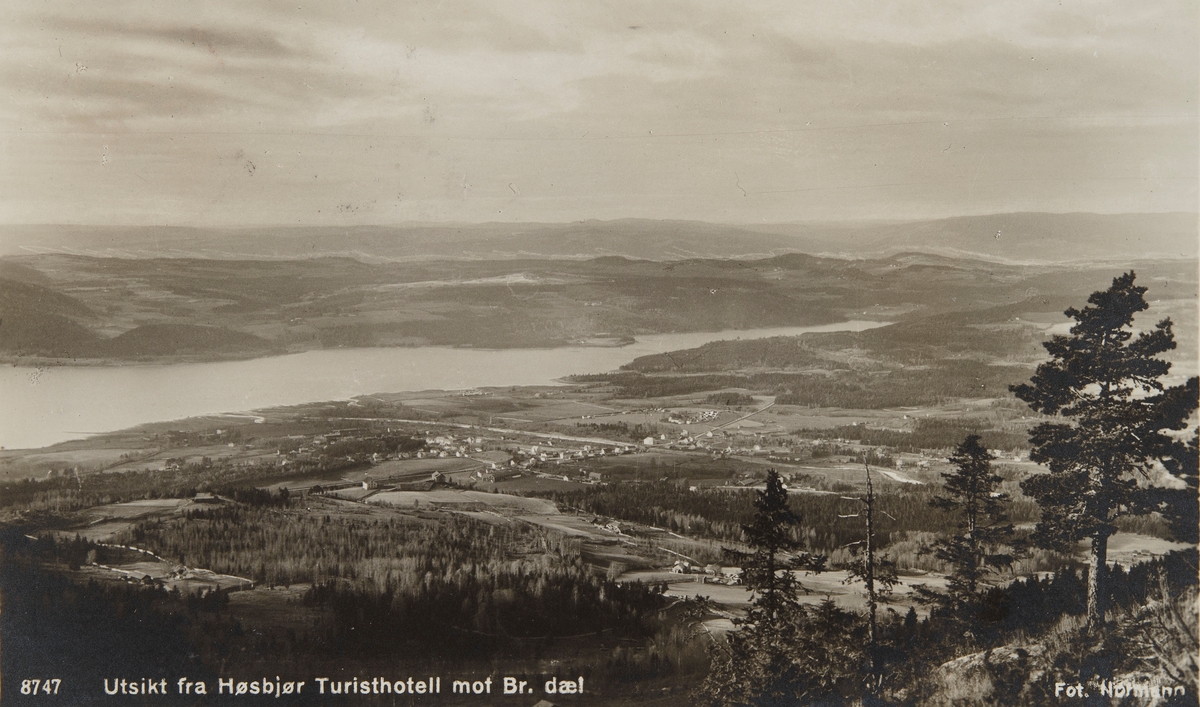 Postkort, Ringsaker, Brumunddal,  Utsikt fra Høsbjør mot Furnesfjorden, Brumunddal og Veldre