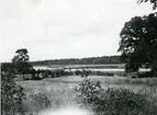 Västerås.
Björnöbron.